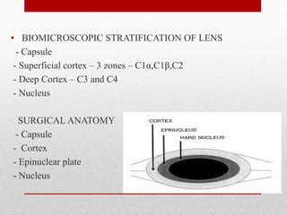 • BIOMICROSCOPIC STRATIFICATION OF LENS
- Capsule
- Superficial cortex – 3 zones – C1α,C1β,C2
- Deep Cortex – C3 and C4
- Nucleus
SURGICAL ANATOMY
- Capsule
- Cortex
- Epinuclear plate
- Nucleus
9
 