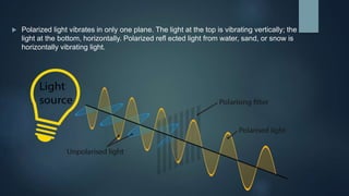  Polarized light vibrates in only one plane. The light at the top is vibrating vertically; the
light at the bottom, horizontally. Polarized refl ected light from water, sand, or snow is
horizontally vibrating light.
 