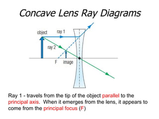 Concave Lens Ray Diagrams Ray 1 - travels from the tip of the object  parallel  to the  principal axis .  When it emerges from the lens, it appears to come from the  principal focus  ( F ) 
