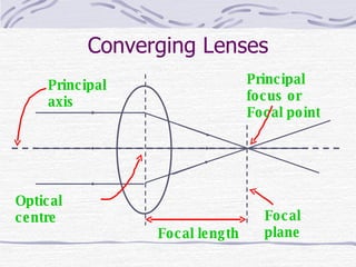 Lenses | PPT