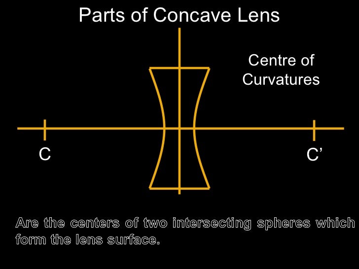 Image result for parts of lenses