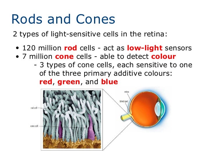 Lenses and the human eye
