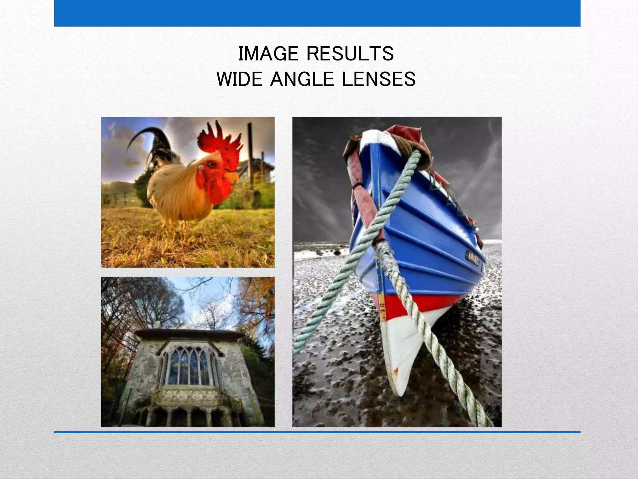 IMAGE RESULTS 
WIDE ANGLE LENSES 
 