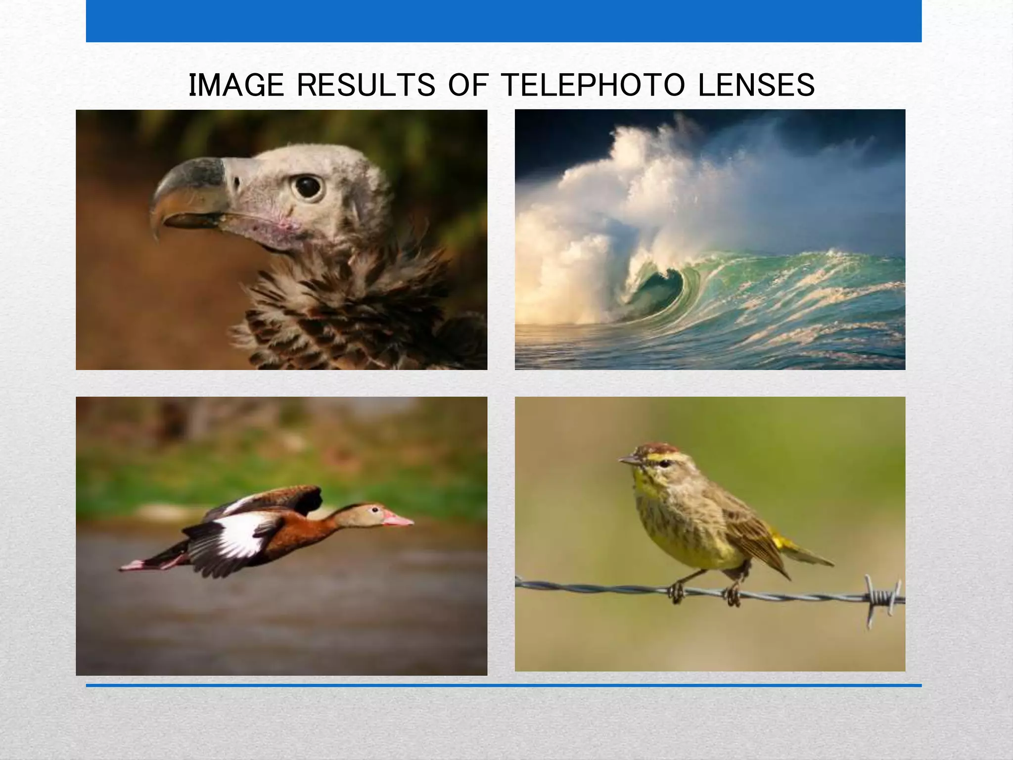 IMAGE RESULTS OF TELEPHOTO LENSES 
 