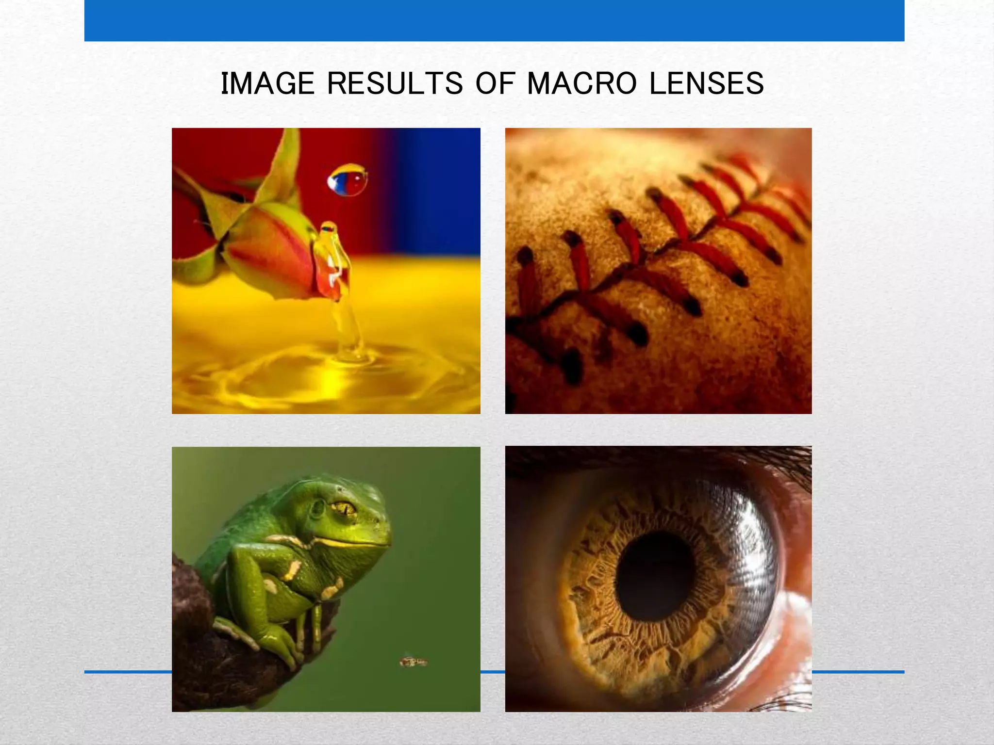 IMAGE RESULTS OF MACRO LENSES 
 