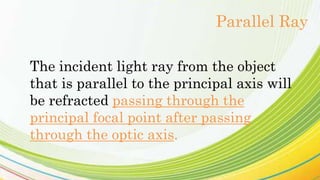 The incident light ray from the object
that is parallel to the principal axis will
be refracted passing through the
principal focal point after passing
through the optic axis.
Parallel Ray
 