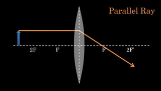 F F’2F 2F’
Parallel Ray
 