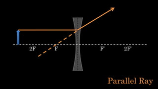 F F’2F 2F’
Parallel Ray
 
