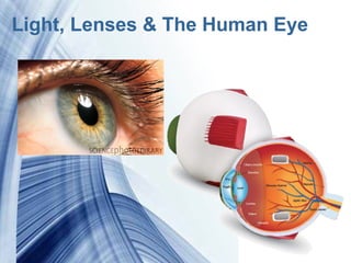 Light, Lenses & The Human Eye




           Powerpoint Templates
 