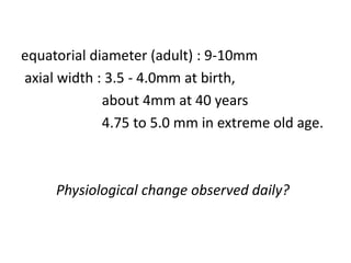 equatorial diameter (adult) : 9-10mm
axial width : 3.5 - 4.0mm at birth,
about 4mm at 40 years
4.75 to 5.0 mm in extreme old age.
Physiological change observed daily?
 