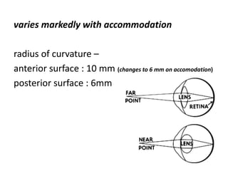 varies markedly with accommodation
radius of curvature –
anterior surface : 10 mm (changes to 6 mm on accomodation)
posterior surface : 6mm
 