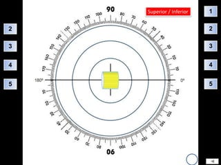 Superior / Inferior   1

2                         2

3                         3


4                         4


5                         5
 