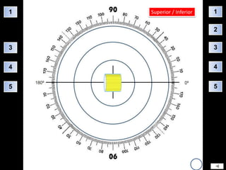 1   Superior / Inferior   1

                          2

3                         3


4                         4


5                         5
 