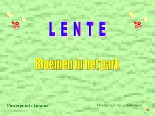 L E N T E Bloemen in het park Powerpoint : Loraine Overgang dia’s : automatisch 