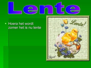 [object Object],Lente 