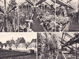 Lentefeest jef&riet deel2