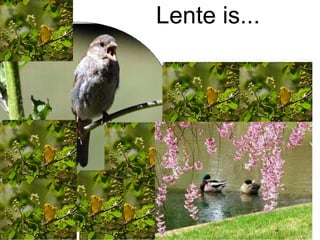 Lente is... Lente is... 