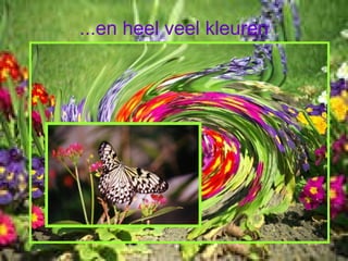 ...en heel veel kleuren 
