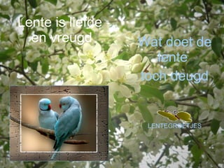 Lente is liefde  en vreugd Wat doet de lente  toch deugd LENTEGROETJES 