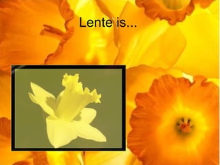 Lente is... 