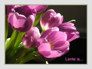 Lente is... 