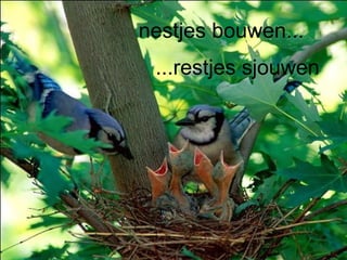 nestjes bouwen... ...restjes sjouwen 