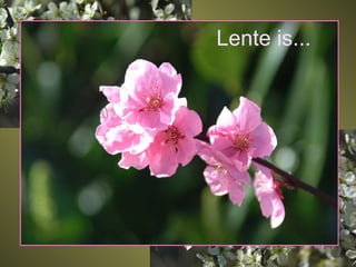 Lente is... 