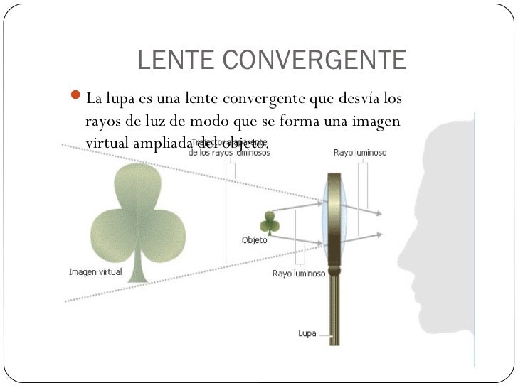 Lentes