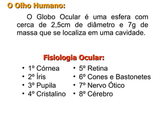 O Globo Ocular é uma esfera com cerca de 2,5cm de diâmetro e 7g de massa que se localiza em uma cavidade. O Olho Humano: 1º Córnea 2º Íris 3º Pupila 4º Cristalino 5º Retina 6º Cones e Bastonetes 7º Nervo Ótico 8º Cérebro Fisiologia Ocular: 