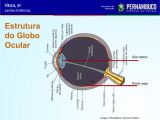 FÍSICA, 2º
Lentes Esféricas

Estrutura
do Globo
Ocular
Eixo óptico

Ponto cego

Imagem: Rhcastilhos / Domínio Público.

 