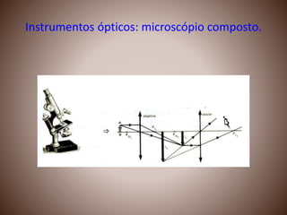 Instrumentos ópticos: microscópio composto.
 