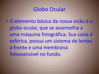 Globo Ocular
• O elemento básico da nossa visão é o
globo ocular, que se assemelha a
uma máquina fotográfica. Sua caixa é
esférica, possui um sistema de lentes
à frente e uma membrana
fotossensível no fundo.
 