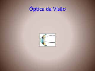 Óptica da Visão
 