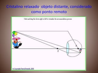 Cristalino relaxado, objeto distante, considerado
como ponto remoto
 