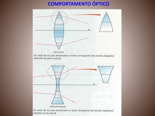 COMPORTAMENTO ÓPTICO
 