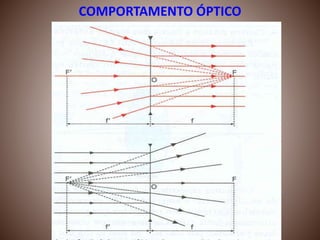 COMPORTAMENTO ÓPTICO
 