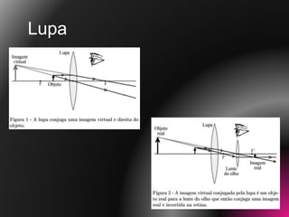Lupa
 