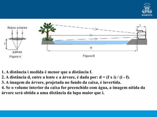1. A distância i medida é menor que a distância f.
2. A distância d, entre a lente e a árvore, é dada por: d = (f x i) / (i - f).
3. A imagem da árvore, projetada no fundo da caixa, é invertida.
4. Se o volume interior da caixa for preenchido com água, a imagem nítida da
árvore será obtida a uma distância da lupa maior que i.
 