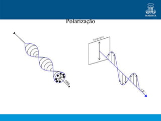 Polarização
 