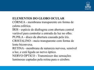 ELEMENTOS DO GLOBO OCULAR
CÓRNEA - membrana transparente em forma de
calota esférica.
ÍRIS - espécie de diafragma com abertura central
variável para controlar a entrada da luz no olho.
PUPILA - disco da abertura causada pela íris.
CRISTALINO - meio transparente com forma de
lente biconvexa.
RETINA - membrana de natureza nervosa, sensível
a luz, e está ligada ao nervo óptico.
NERVO ÓPTICO - Transmissor das sensações
luminosas captadas pela retina para o cérebro.
 