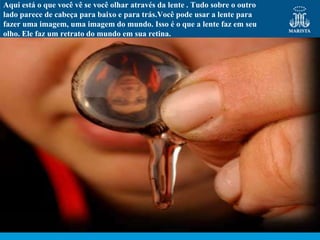 Aqui está o que você vê se você olhar através da lente . Tudo sobre o outro
lado parece de cabeça para baixo e para trás.Você pode usar a lente para
fazer uma imagem, uma imagem do mundo. Isso é o que a lente faz em seu
olho. Ele faz um retrato do mundo em sua retina.
 