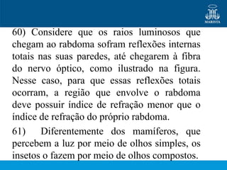 60) Considere que os raios luminosos que
chegam ao rabdoma sofram reflexões internas
totais nas suas paredes, até chegarem à fibra
do nervo óptico, como ilustrado na figura.
Nesse caso, para que essas reflexões totais
ocorram, a região que envolve o rabdoma
deve possuir índice de refração menor que o
índice de refração do próprio rabdoma.
61) Diferentemente dos mamíferos, que
percebem a luz por meio de olhos simples, os
insetos o fazem por meio de olhos compostos.
 
