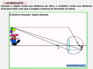  ACOMODAÇÃO
Quando o objeto muda sua distância ao olho, o cristalino muda sua distância
focal para fazer com que a imagem continue se formando na retina.

      Cristalino relaxado: objeto distante.




                                                      www.fisicaatual.com.br
 