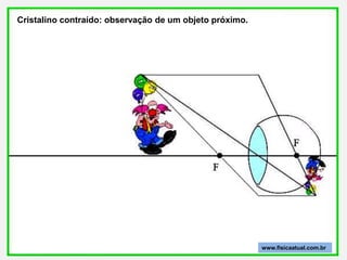 Cristalino contraído: observação de um objeto próximo.




                                                         www.fisicaatual.com.br
 
