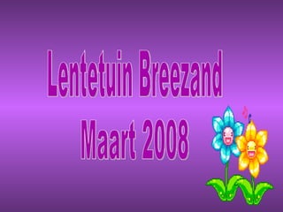 Lentetuin Breezand Maart 2008 
