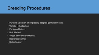 Breeding Procedures
• Pureline Selection among locally adapted germplasm lines.
• Varietal Hybridization
• Pedigree Method
• Bulk Method
• Single Seed Decent Method
• Backcross Method
• Biotechnology
 