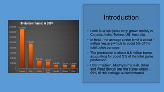 Introduction
• Lentil is a rabi pulse crop grown mainly in
Canada, India, Turkey, US, Australia.
• In India, the acreage under lentil is about 1
million hectare which is about 5% of the
total pulse acreage.
• The production is about 0.6 million tones
accounting for about 5% of the total pulse
production.
• Uttar Pradesh, Madhya Pradesh, Bihar
and West Bengal are the states where
95% of the acreage is concentrated.
 