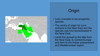 Origin
• Lens orientalis is the progenitor
species.
• The centre of origin for Lens
culinaris is the Near East and the
species was first domesticated in
the Near East.
• Lentil first spread to the Nile from
the Near East, to Central Europe
and then to the Indian subcontinent
and Mediterranean region.
 