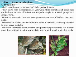 Diseases of Lentil | PPTX