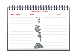 CUADERNO DE CAMPO

 Planta: Lentisco            Lugar: …………………………………………………..……………………………..   Fecha: ………………………………………

………………………………………………………………………………………..                  ………………………………………………………………………………………..
………………………………………………………………………………………..                  ………………………………………………………………………………………..
………………………………………………………………………………………..                  ………………………………………………………………………………………..
………………………………………………………………………………………..                  ………………………………………………………………………………………..
………………………………………………………………………………………..                  ………………………………………………………………………………………..
………………………………………………………………………………………..                  ………………………………………………………………………………………..
………………………………………………………………………………………..                  ………………………………………………………………………………………..
………………………………………………………………………………………..                  ………………………………………………………………………………………..
………………………………………………………………………………………..                  ………………………………………………………………………………………..
………………………………………………………………………………………..                  ………………………………………………………………………………………..
………………………………………………………………………………………..                  ………………………………………………………………………………………..
………………………………………………………………………………………..                  ………………………………………………………………………………………..
………………………………………………………………………………………..                  ………………………………………………………………………………………..
………………………………………………………………………………………..                  ………………………………………………………………………………………..
………………………………………………………………………………………..                  ………………………………………………………………………………………..
………………………………………………………………………………………..                  ………………………………………………………………………………………..
………………………………………………………………………………………..                  ………………………………………………………………………………………..
………………………………………………………………………………………..                  ………………………………………………………………………………………..
………………………………………………………………………………………..                  ………………………………………………………………………………………..
………………………………………………………………………………………..                  ………………………………………………………………………………………..
………………………………………………………………………………………..                  ………………………………………………………………………………………..
 